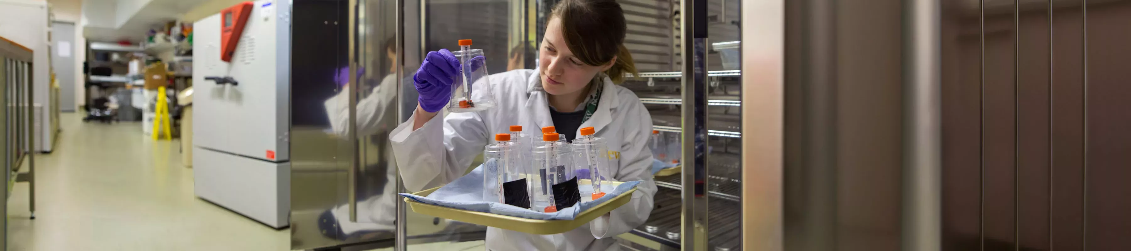 Student in the insectarium. © RBG Kew. Student holding tube in lab
