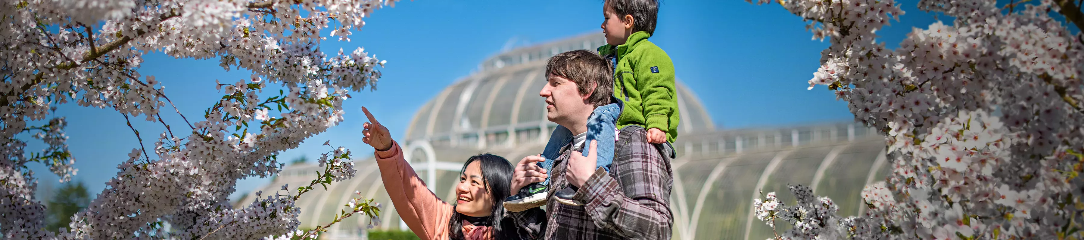 A family outside the Palm House A family outside the Palm House