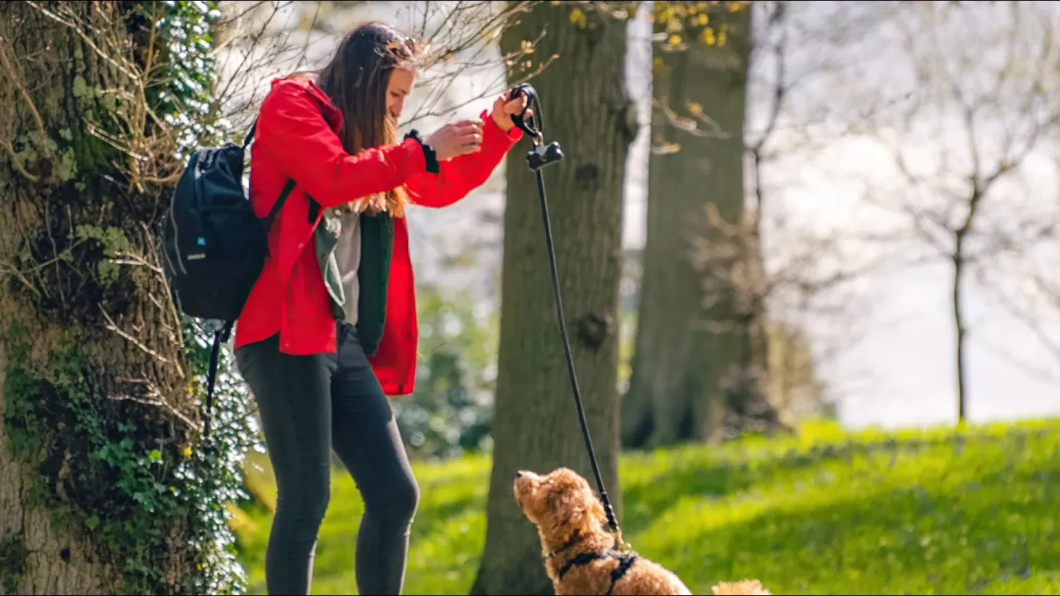 Dog walking at Wakehurst, Visual Air © RBG Kew A person playing with a dog in a wooded environment
