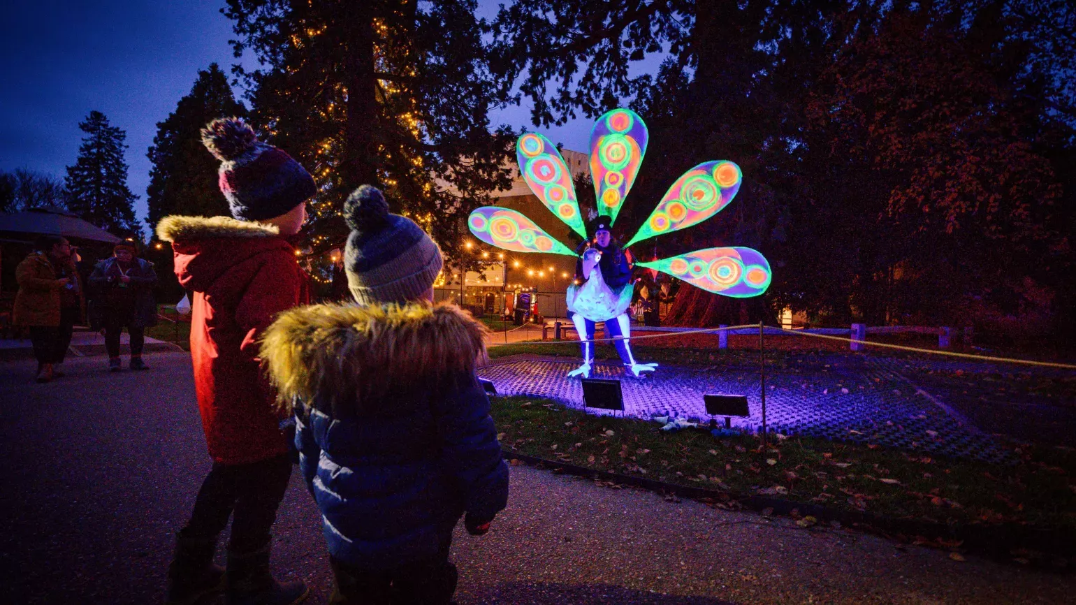 Glow Wild 2023 Percy the peacock by Jim Holden © RBG Kew Two children in winter clothing watch a glowing peacock installation on a Christmas lights trail