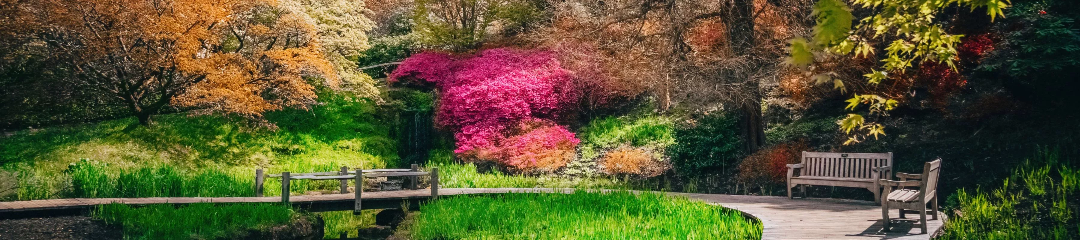Wakehurst's Iris Dell, Visual Air © RBG Kew A wooden walkway through Wakehurst's green and red Iris Dell