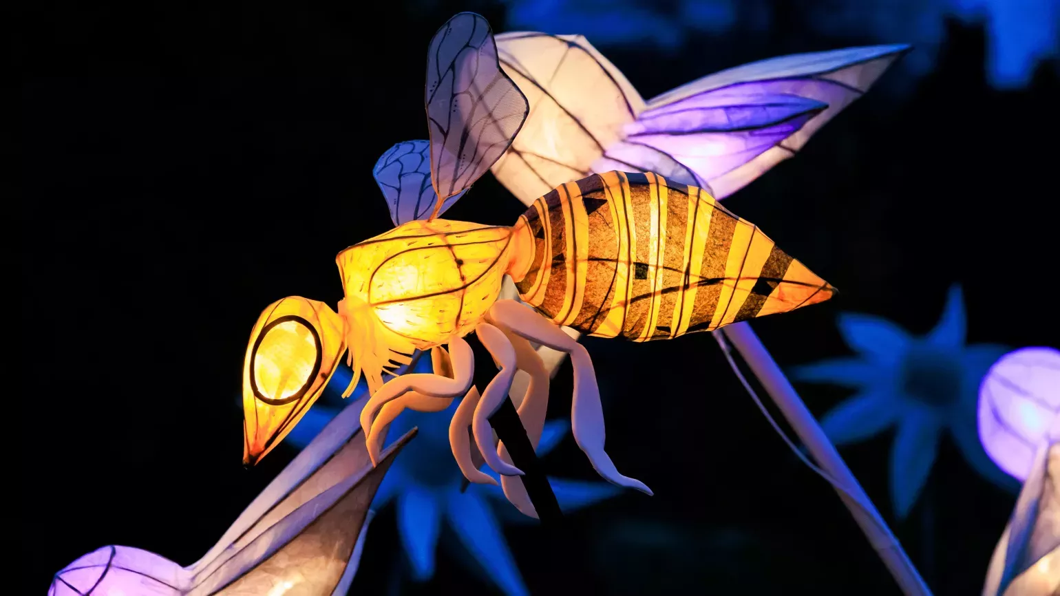 Bee lantern at Glow Wild 2023 © RBG Kew Bea lantern at Wakehurst