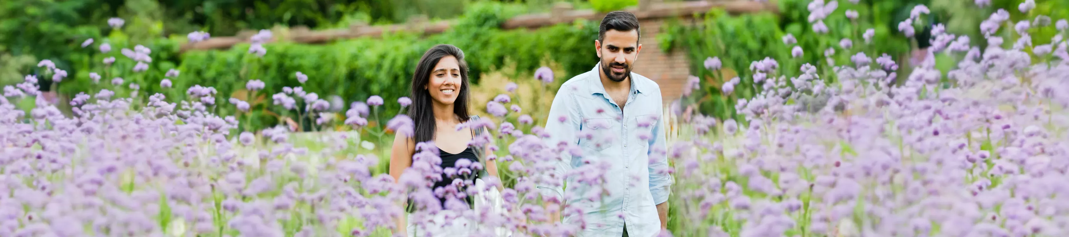 A couple walks through purple flowers A couple walks through purple flowers