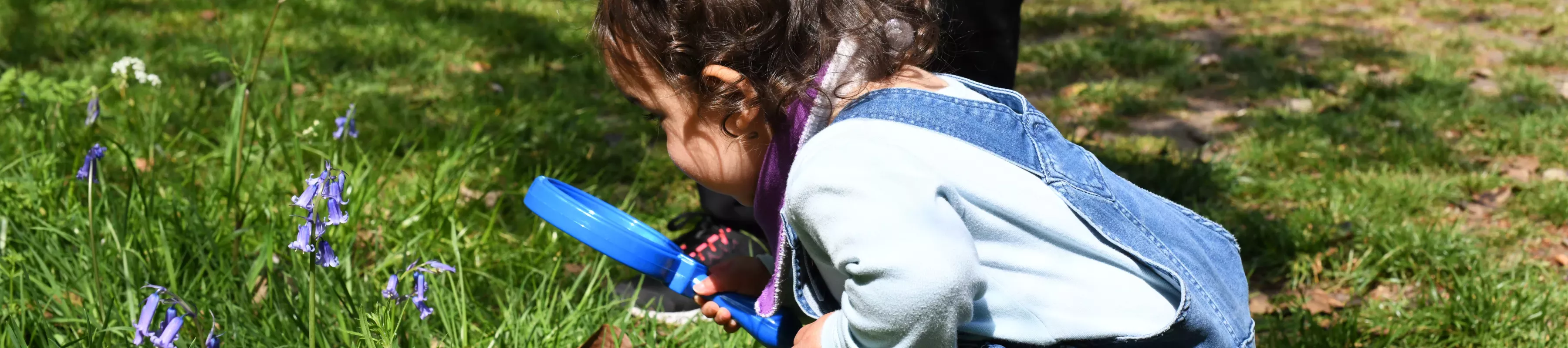 Little Explorers © RBG Kew Young girl with magnifying glass looking at bluebells