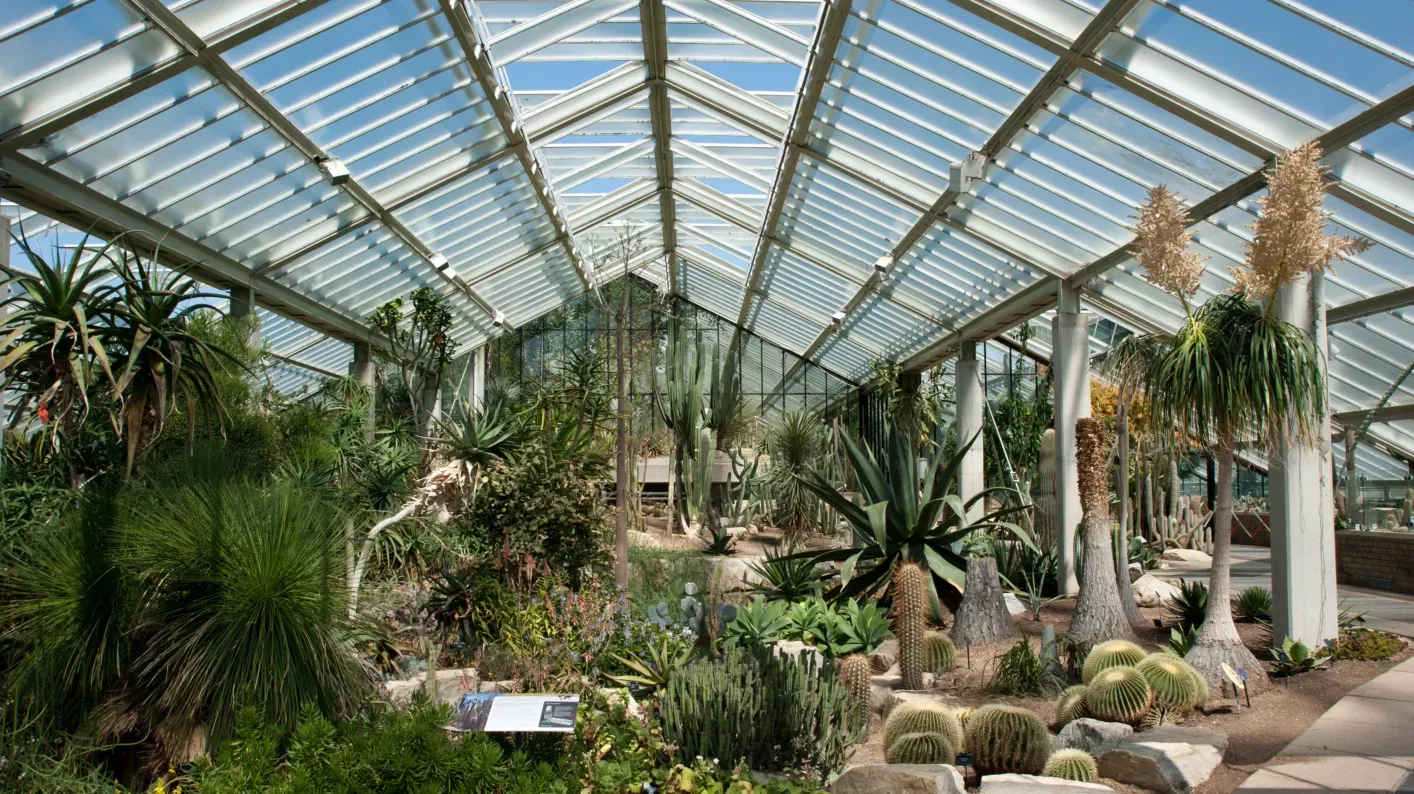 Andrew McRobb / RBG Kew View of species from the dry tropics in the Princess of Wales Conservatory