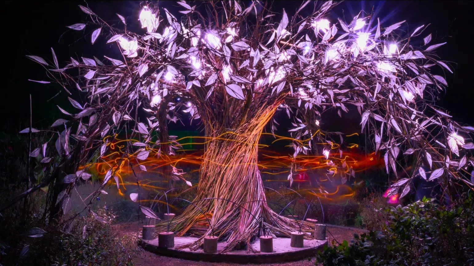 Tree of life at Glow Wild, James Ratchford © RBG Kew A sculpture of a tree with illuminated purple leaves