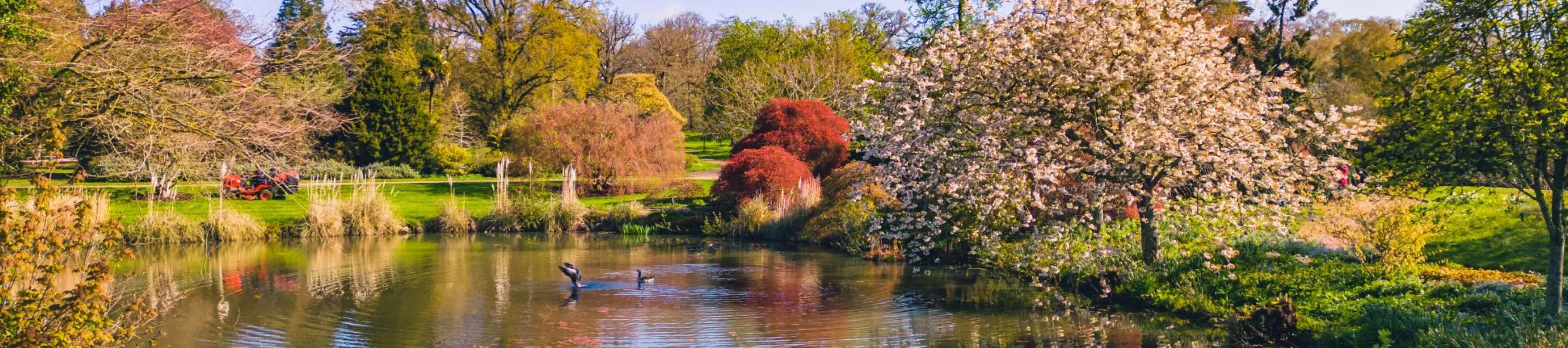 Mansion Pond at Wakehurst, Visual Air © RBG Kew A reflective pond surrounded by colourful plants