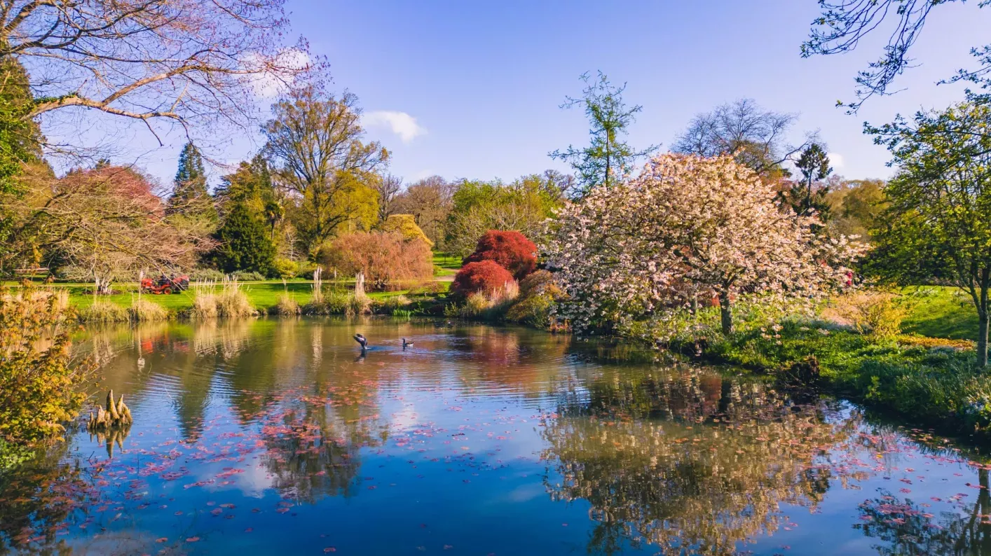 Mansion Pond at Wakehurst, Visual Air © RBG Kew A reflective pond surrounded by colourful plants