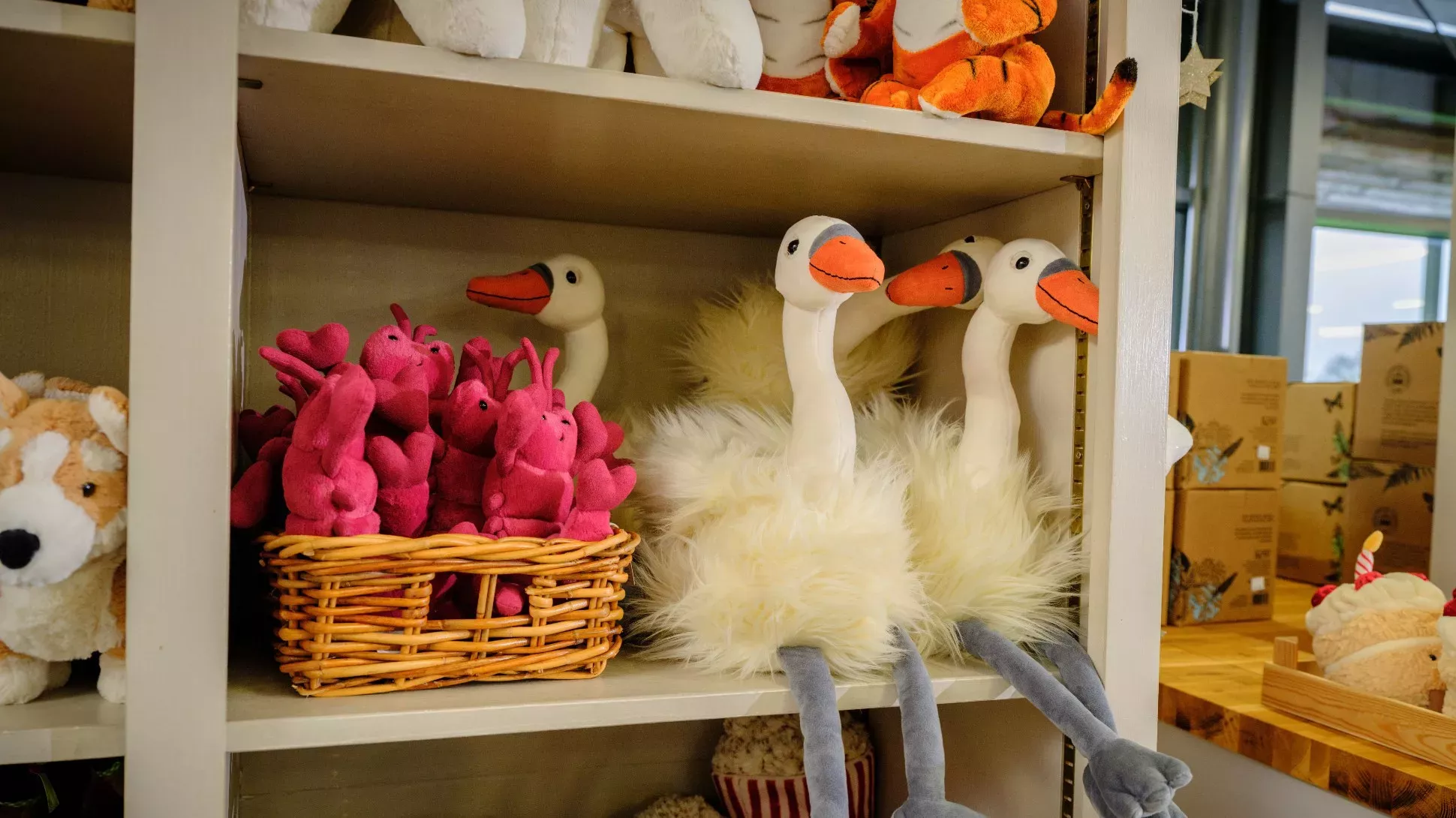 Wakehurst Visitor's Centre Shop © RBG Kew A collection of stuffed animals, including swans on a shop shelf