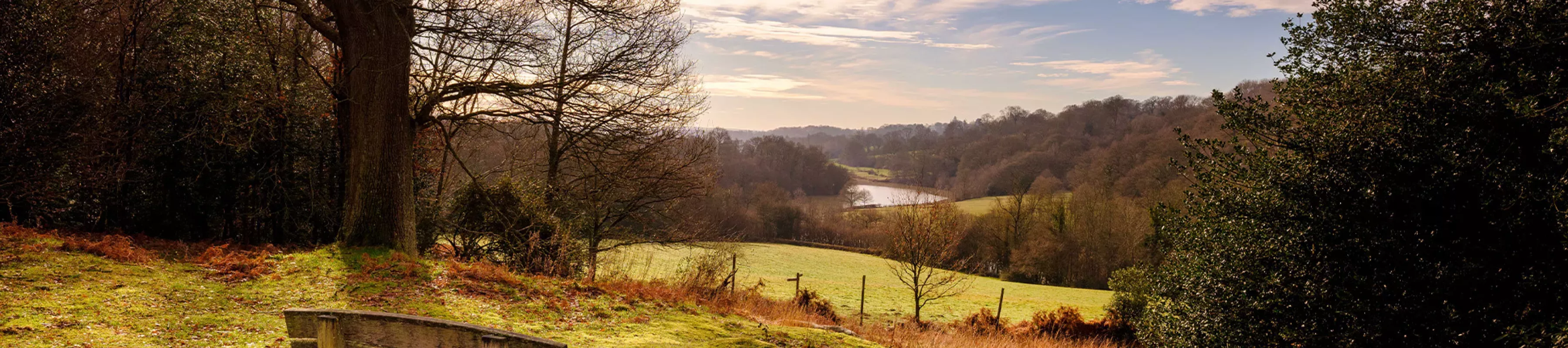 Loder Valley Viewpoint, Jim Holden © RBG Kew A bench overlooks an expansive valley, with a river running through and hills covered in trees.