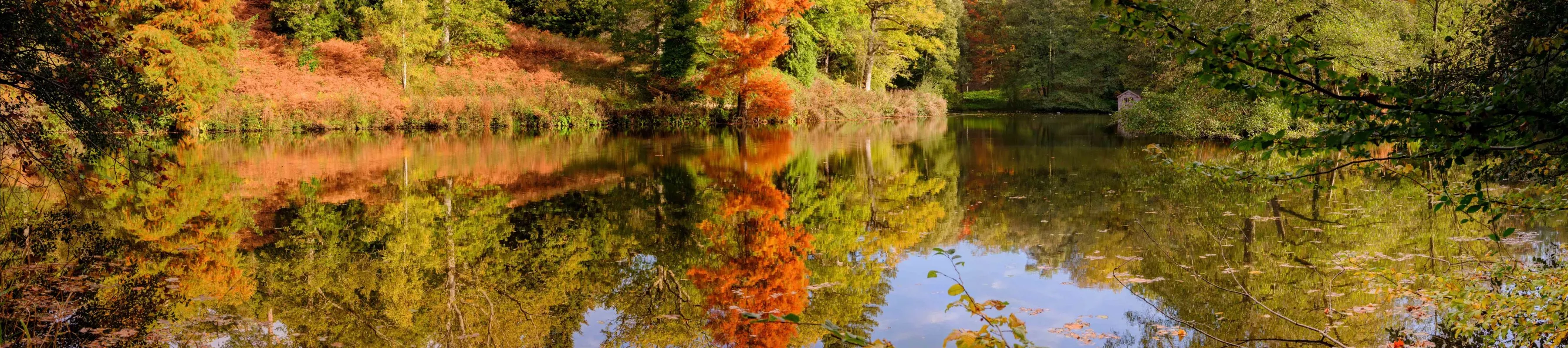 The Westwood Lake at Wakehurst, Jim Holden © RBG Kew A reflective lake surface showing golden red autumnal trees