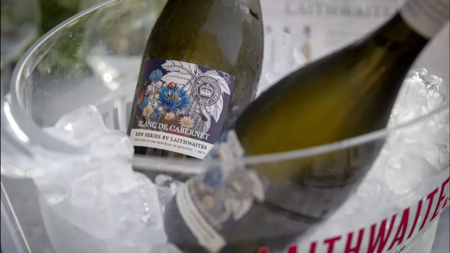 © RBG Kew Two bottles of wine on ice, labelled Blanc de Cabernet, Kew series by Laithwaites