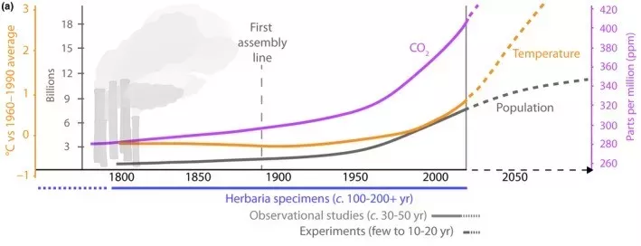 Graphic illustrating the timescale of herbarium specimens compared to observational studies Graphic illustrating the timescale of herbarium specimens