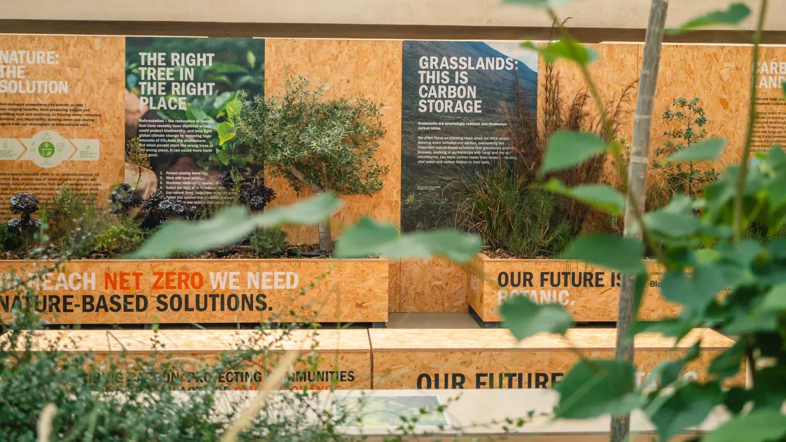 COP26 display at Wakehurst © RBG Kew Informative panels and plants at Wakehurst