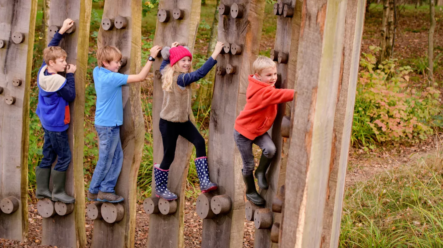 Tree Trunk Trek at Wakehurst in Autumn, Jim Holden © RBG Kew Children climbing in a woodland playground at Wakehurst