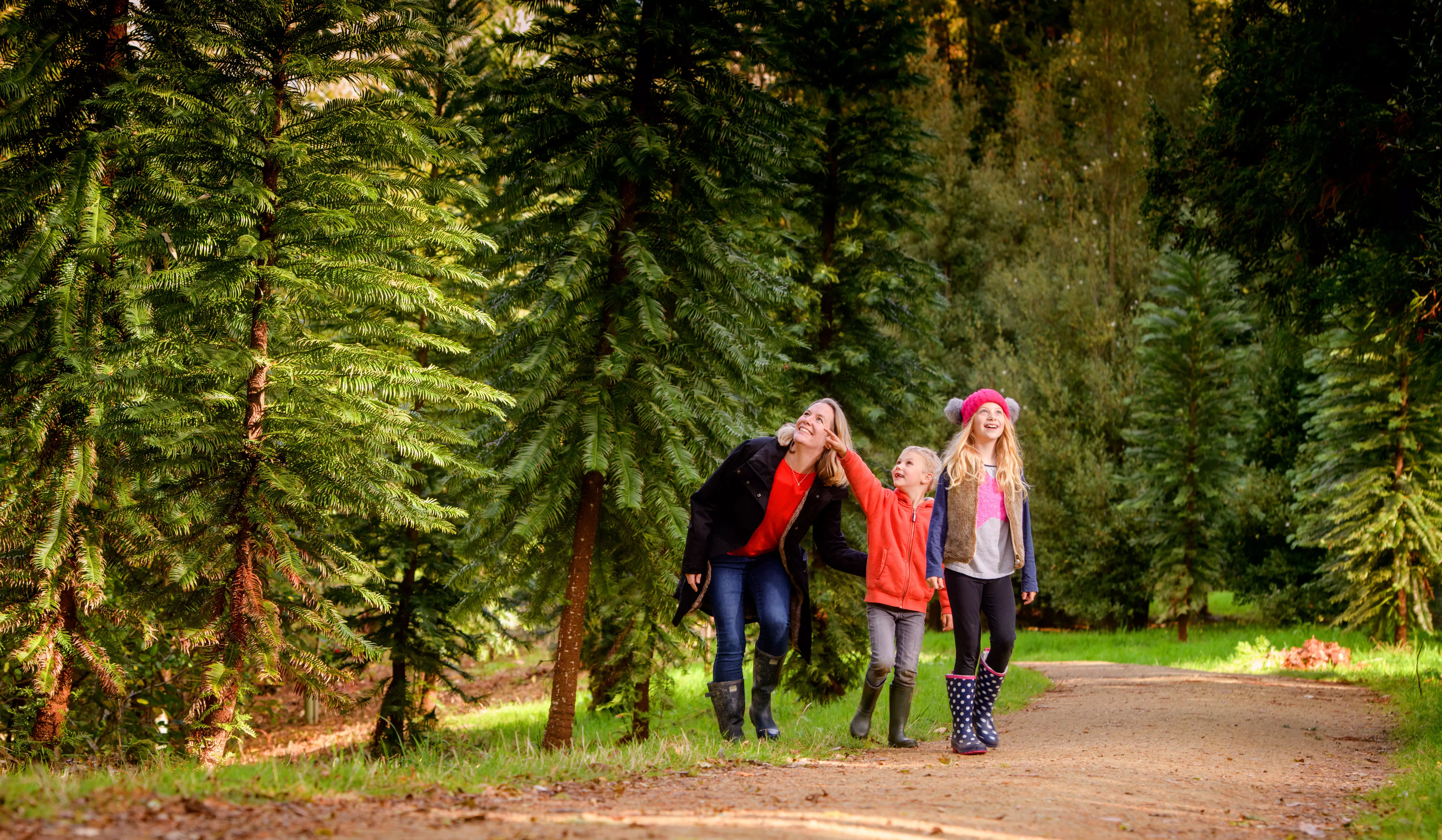 Coates Wood at Wakehurst in Autumn, Jim Holden © RBG Kew Family of three walking through a wooded area