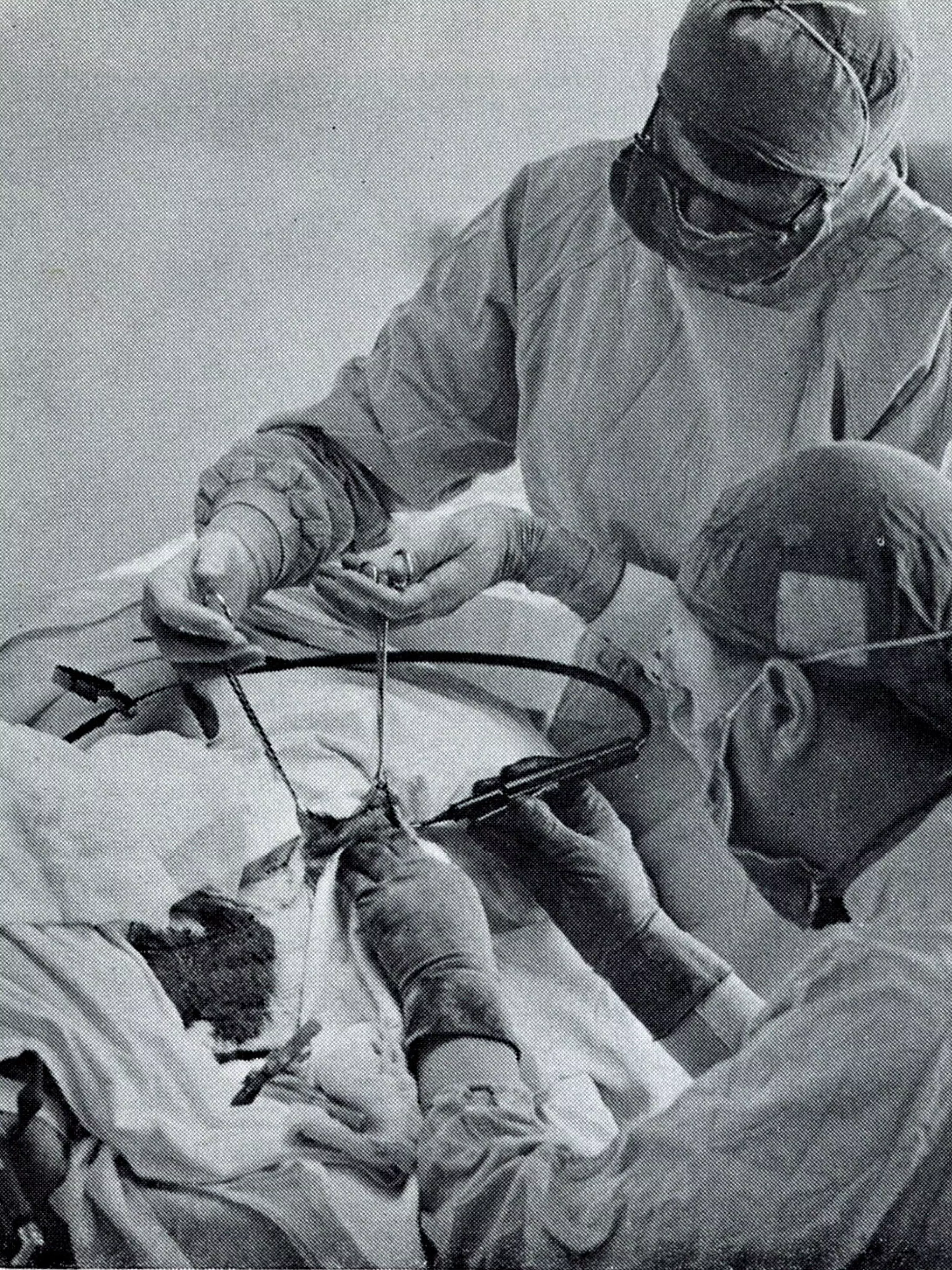 An early organ transplant operation by Dr D. S. Hart (lower) on a sheep at Johnstone laboratory, 1970's. The production of cyclosporine would make transplant operations on humans viable. © Living Heritage, Lincoln College, CC 3.0 Two veterinary surgeons performing organ transplant on a sheep