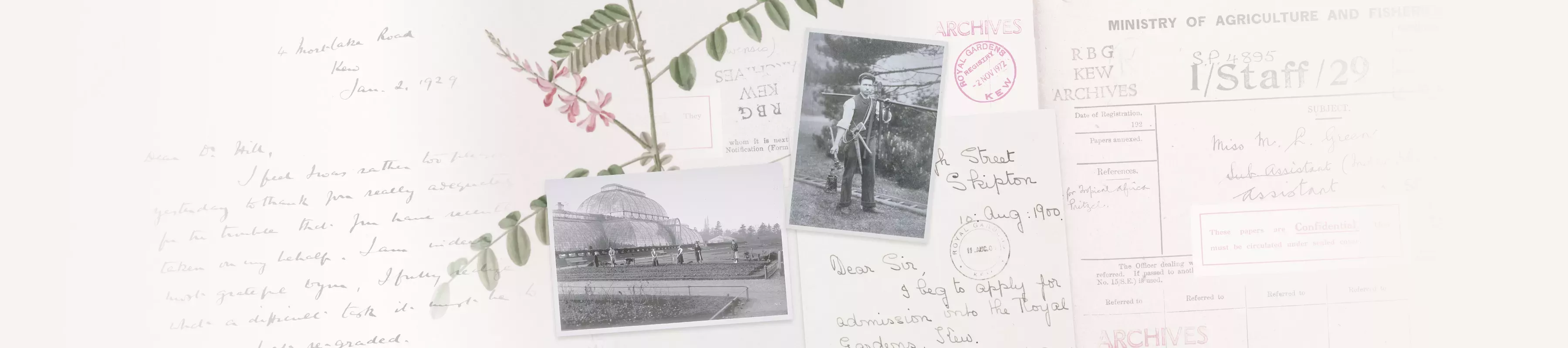 Leafy Legacies © RBG Kew Collage of old letters, botanical art and two black and white photos: one showing women gardening in front of Kew's Palm House and the other showing a man carrying gardening tools