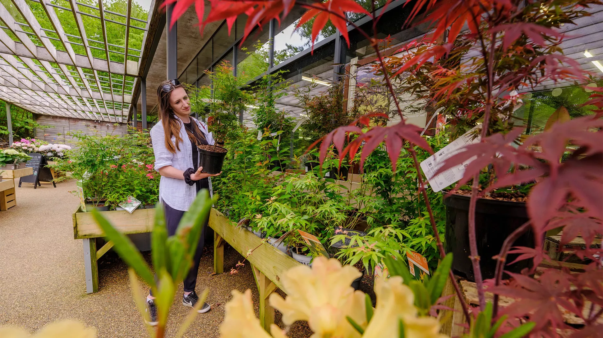 Wakehurst Plant Centre, Jim Holden © RBG Kew A woman picks up a tree in a plant po.