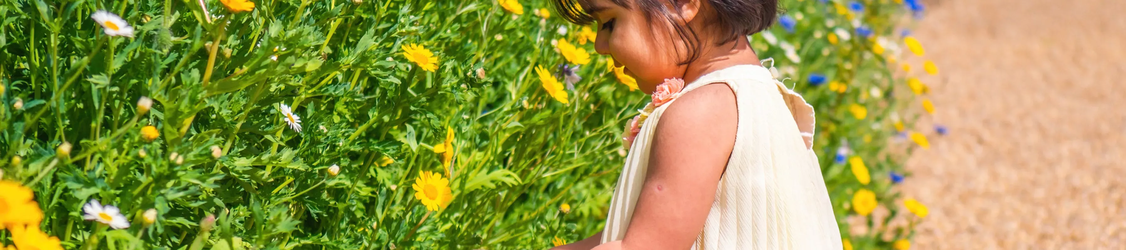 Children's Walled Garden, Visual Air © RGB Kew Young child inspecting yellow flowers in the Children's Walled Garden at Wakehurst