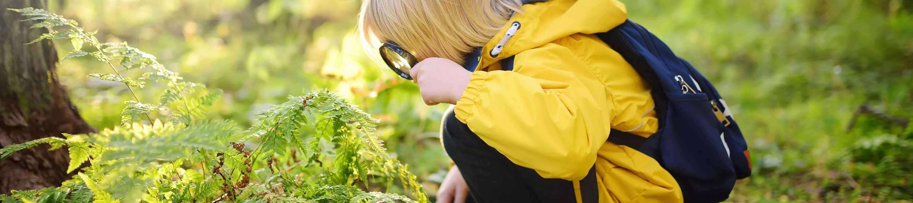 Scientist Backpacks A child in a yellow coat looks at the forest floor with a magnifying glass