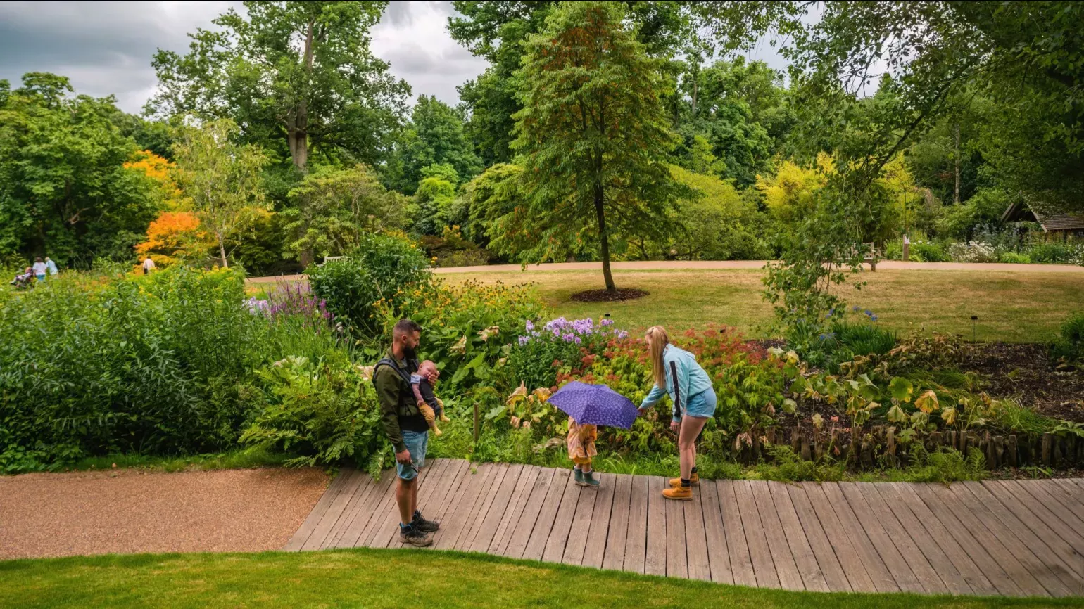 Wakehurst's Bog Garden, Visual Air © RBG Kew A family on a wooden walkway next to a colourful bog garden