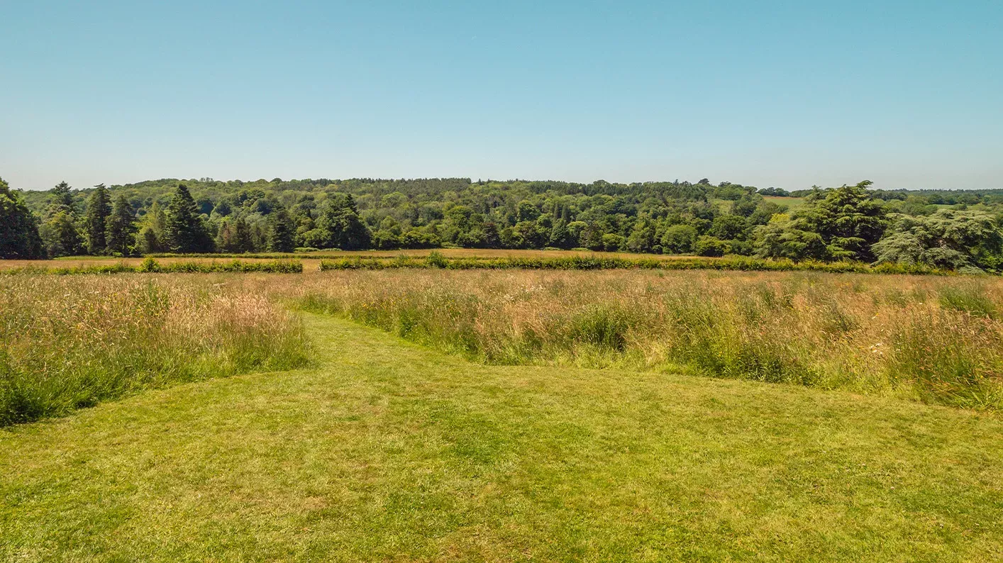 Coronation Meadow, Visual Air © RBG Kew A drone shot of Coronation meadow grassland, looking towards trees in the distance.
