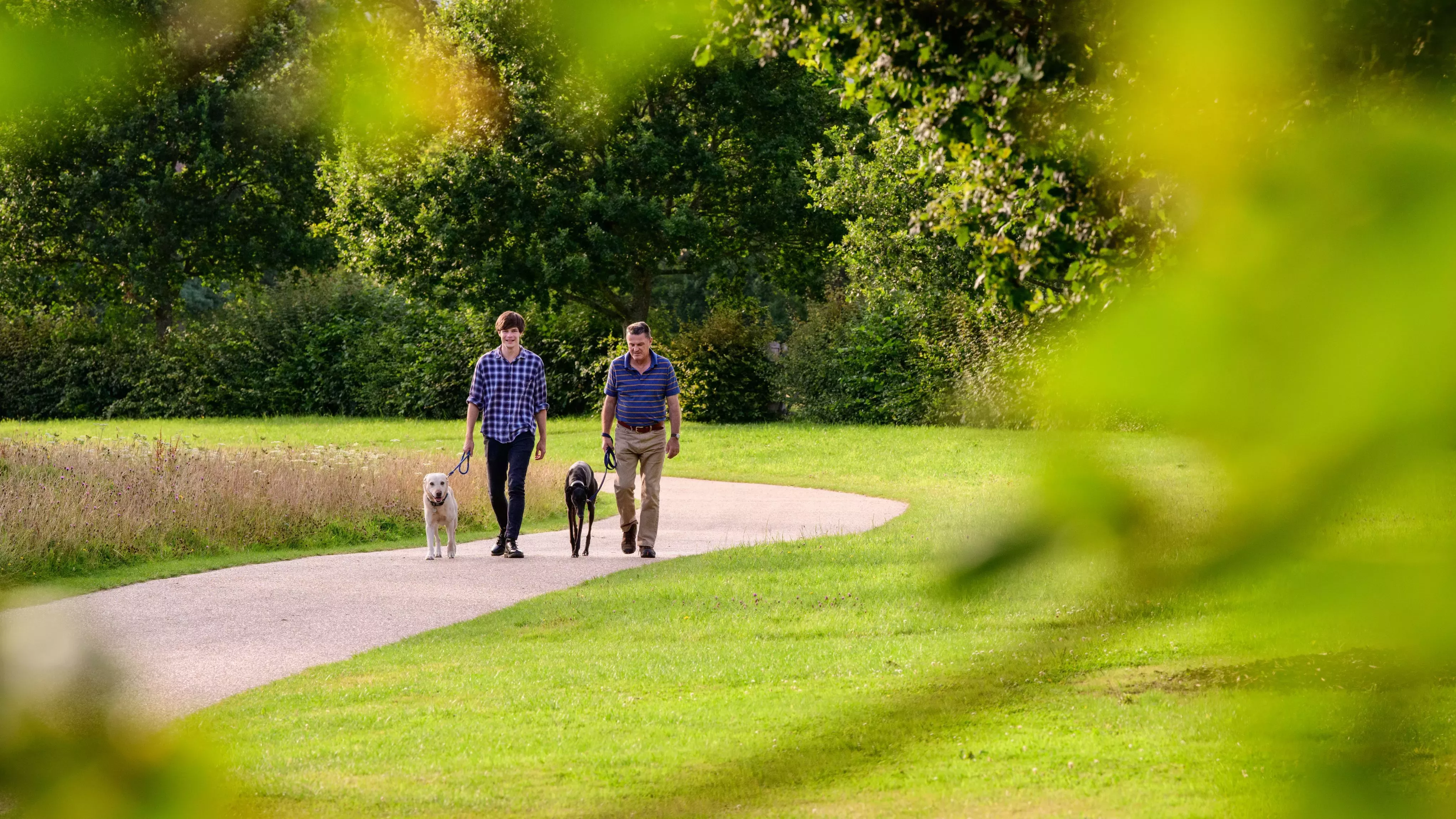 Dogs at Wakehurst, Jim Holden © RBG Kew Dogs being walked by two men at Wakehurst