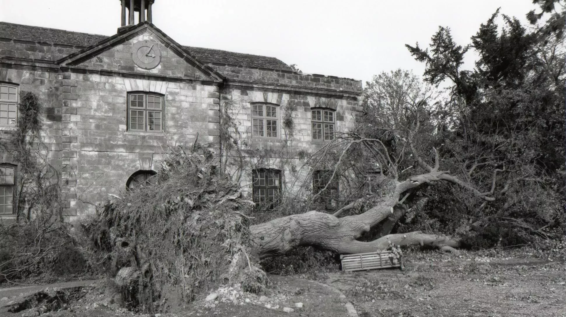 The great storm at Wakehurst © RBG Kew A black and white photography showing a tree fallen outside the Wakehurst Mansion © RBG Kew