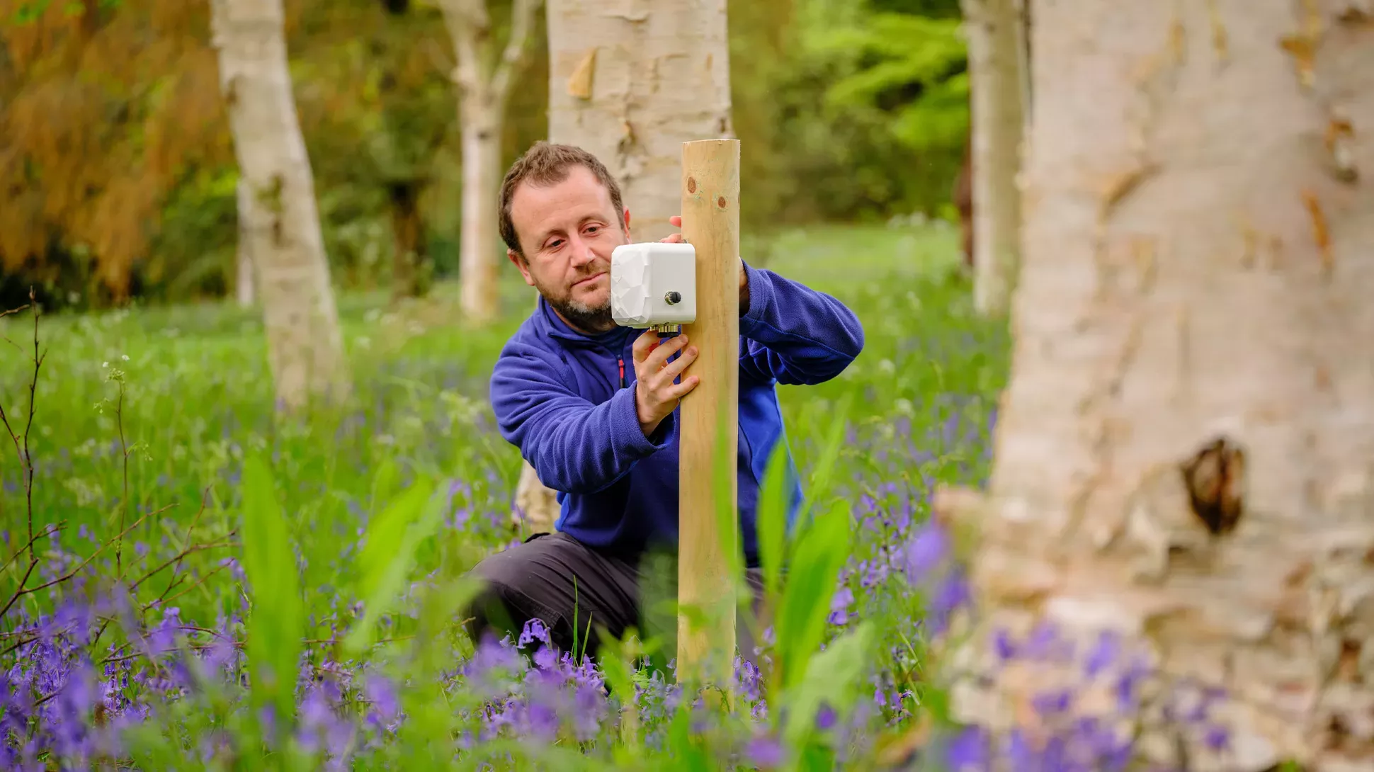 Hydrology research, Jim Holden © RBG Kew A scientist fixes a sensor on a pole, in a field of bluebells.