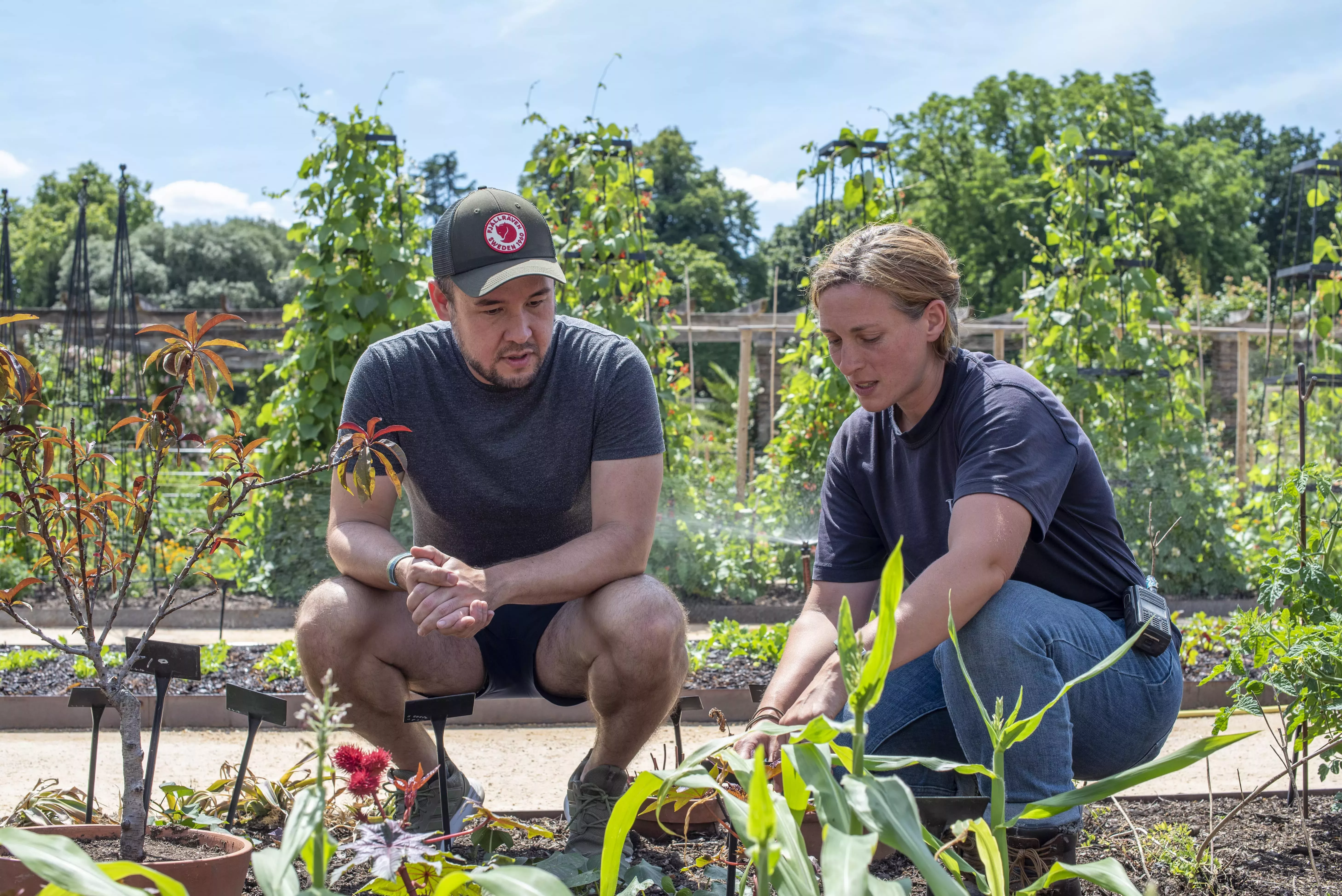 Unearthed presenter James Wong and guest Helena Dove © RBG Kew Two people crouching down observing plants in Edible Science: Kew's Kitchen Garden