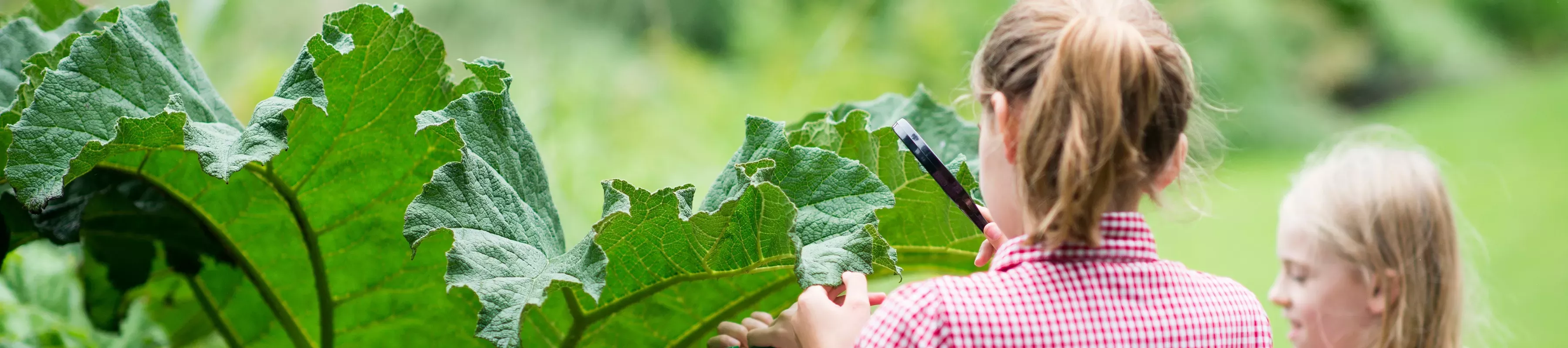 Summer school at Kew © Jeff Eden / RBG Kew Two school children examining a leaf
