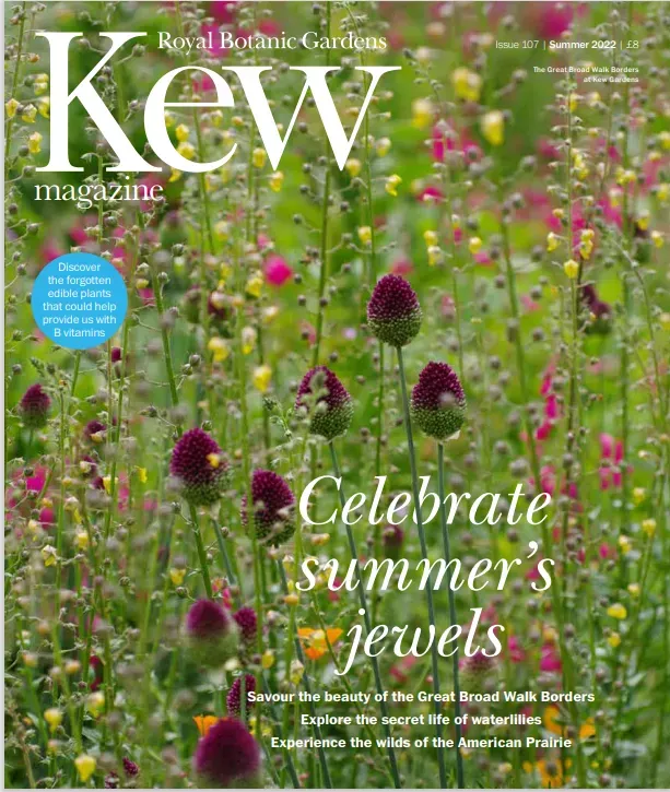 Kew Magazine Summer 2022 The cover of Kew magazine showing wildflowers