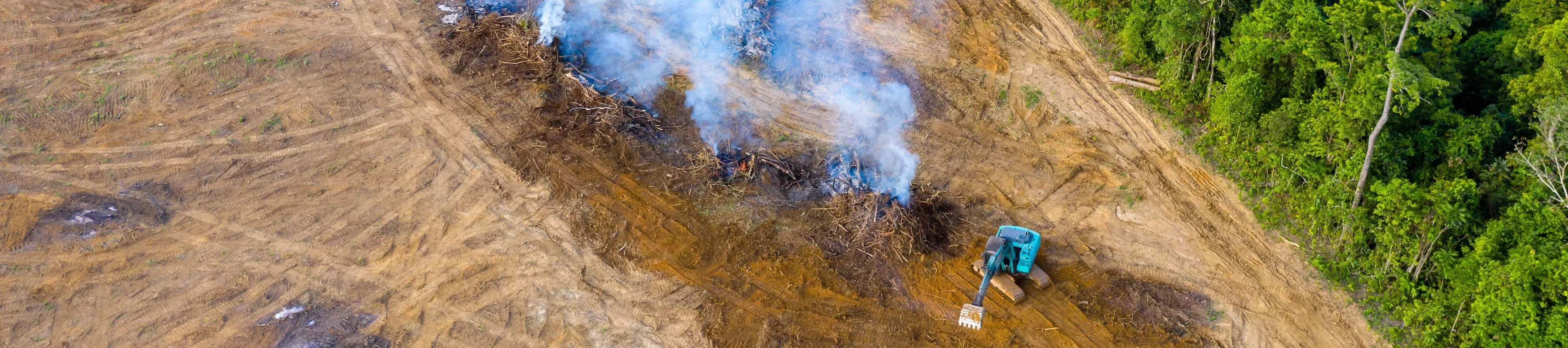 Deforestation © R. Whitcombe/Adobe Stock Deforested land with smoke and a small digger with a small area of green forest
