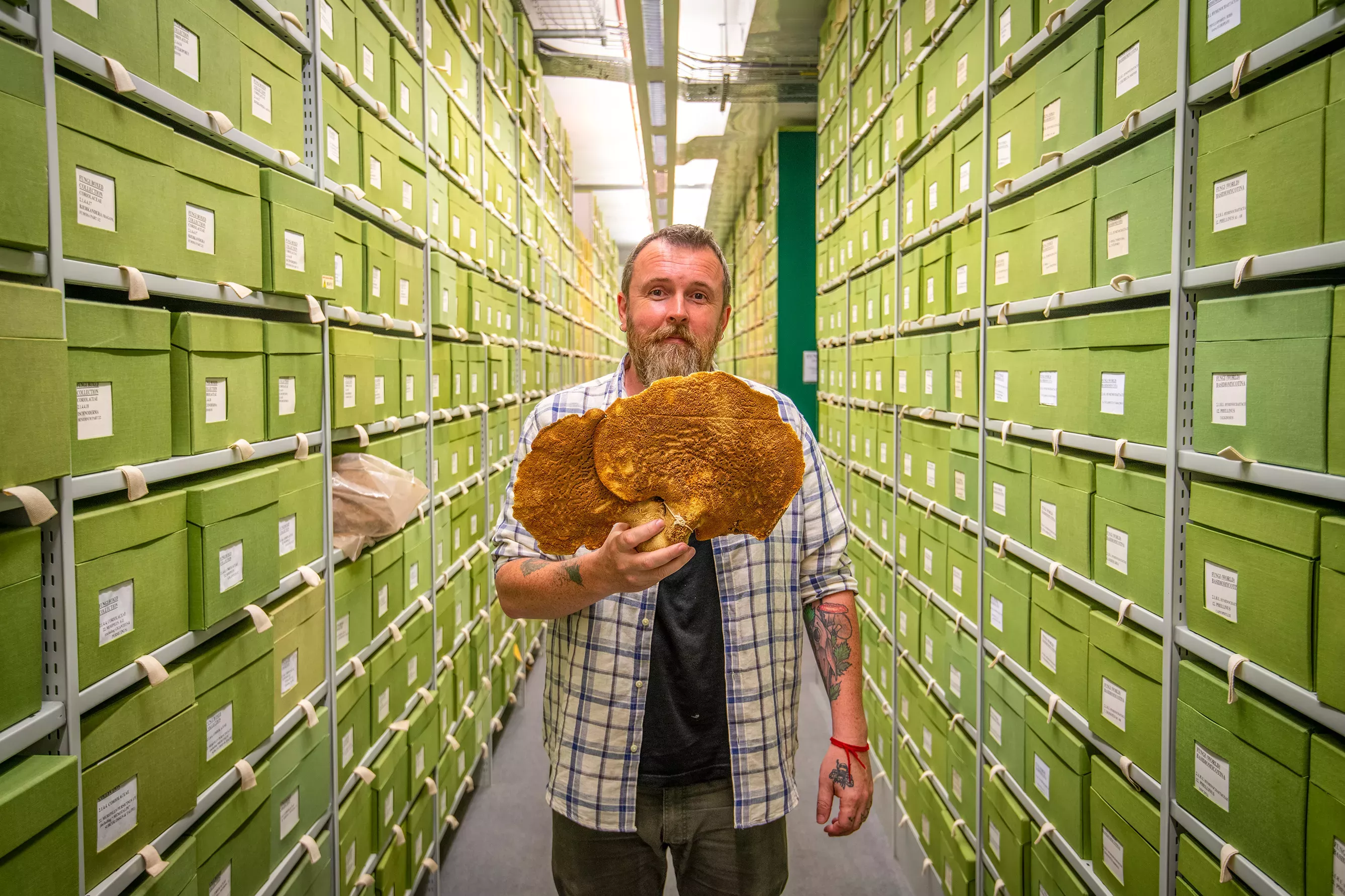 Fungarium Collections Manager, Lee Davies, examines specimens among the vast Fungarium collection © RBG Kew A man holds a large dried fungal specimen in a corridor lined with boxes