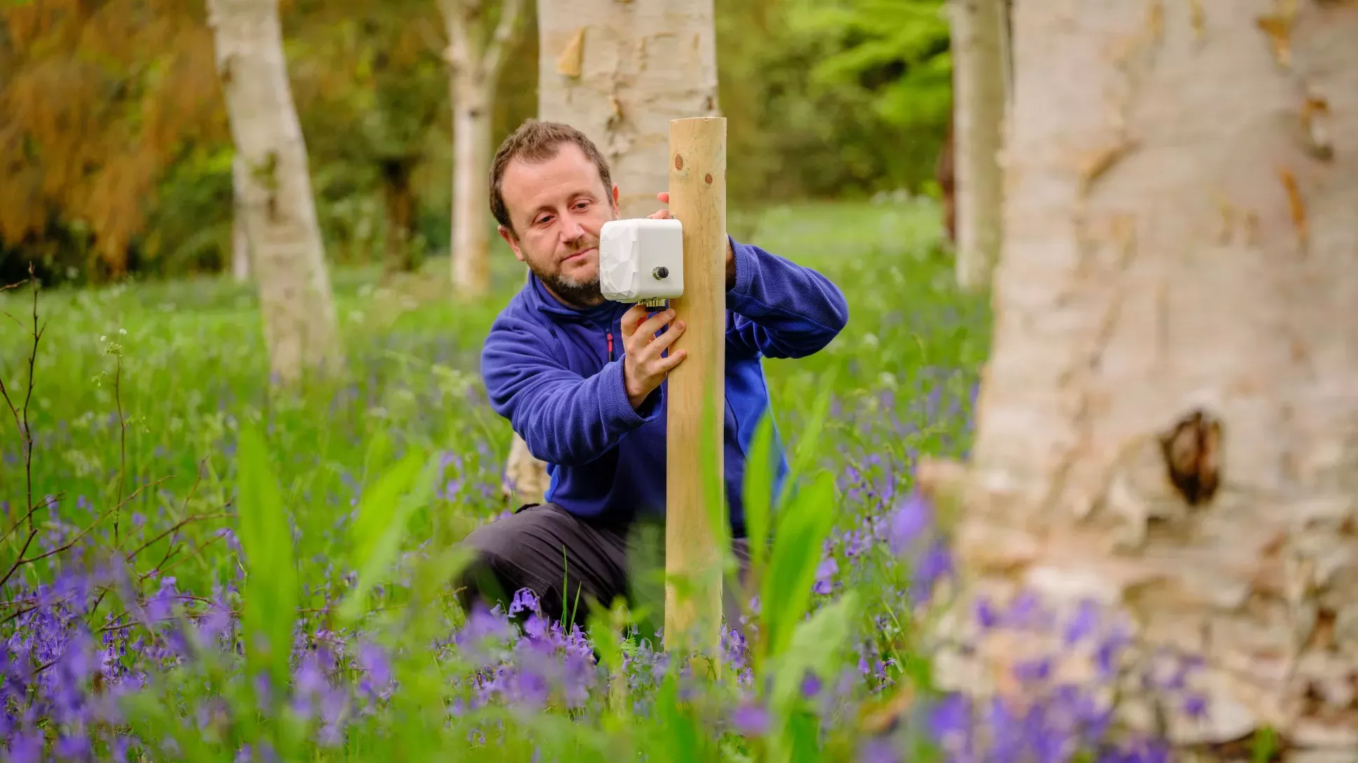 Dr Mark Lee from Royal Holloway, University of London, who is a partner in the project, setting up a Ladybird weather station © RBG Kew A person fixes a scientific instrument to a wooden pole in a woodland