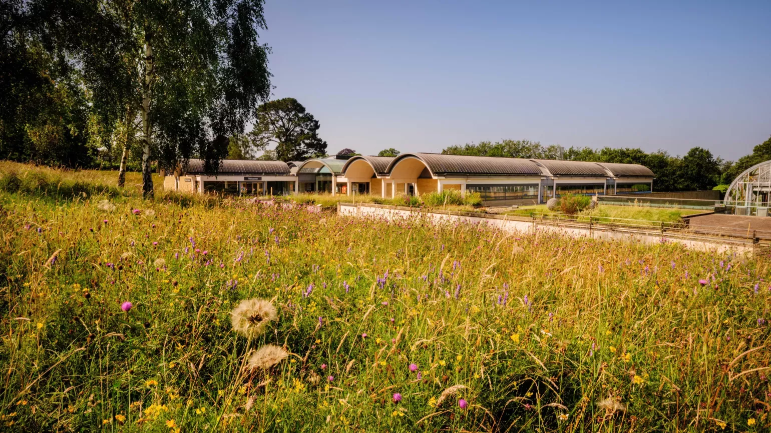 Millennium Seed Bank Meadow at Wakehurst, Jim Holden © RBG Kew Millennium Seed Bank in summer with meadow flowers