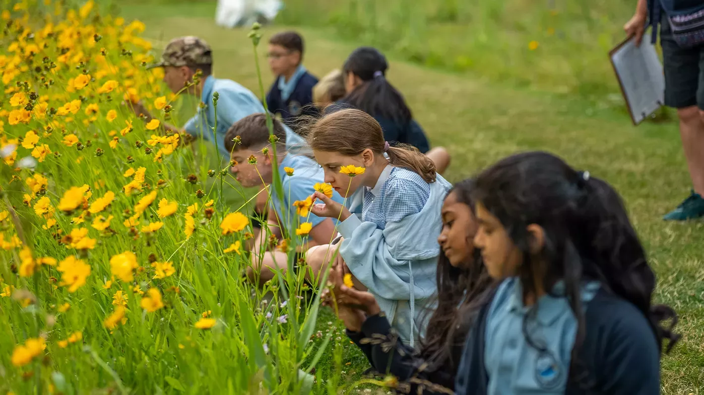Nature Connectedness research, Visual Air © RBG Kew A group of schoolchildren look at yellow flowers on the American Prairie