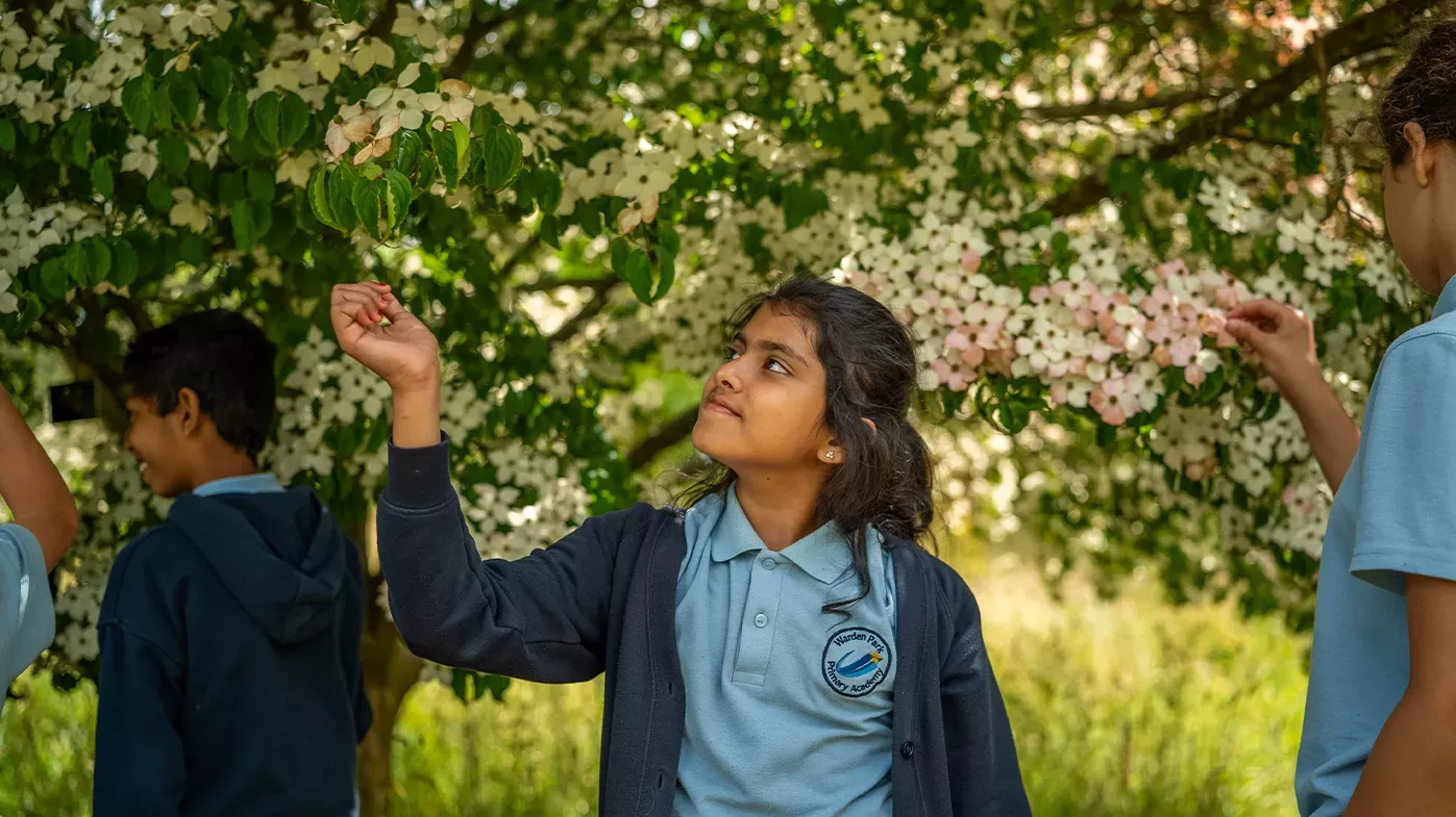 Nature Connectedness research, Visual Air © RBG Kew A group of school children look at the branches of a tree