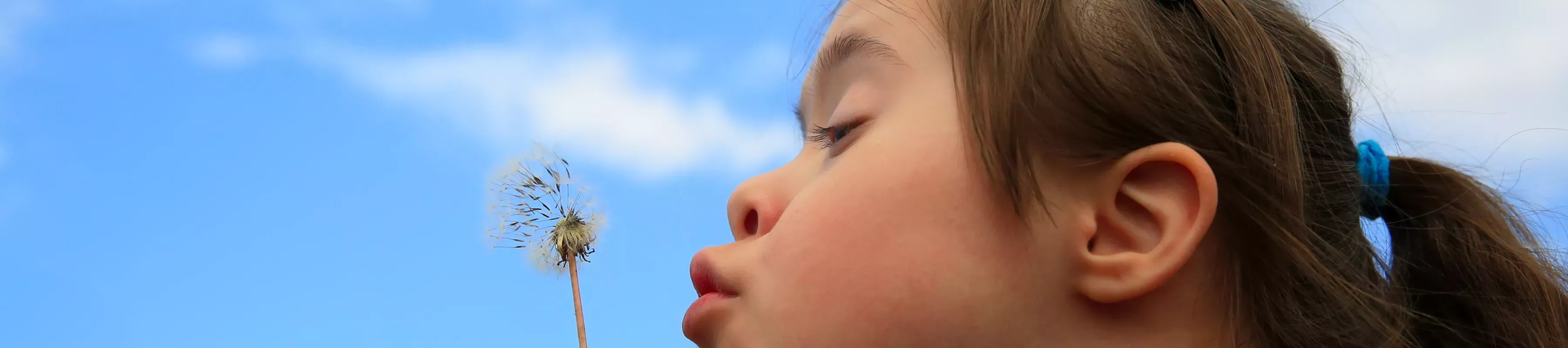 SEND Family Sensory Tours Young girl blowing a daffodil seed head