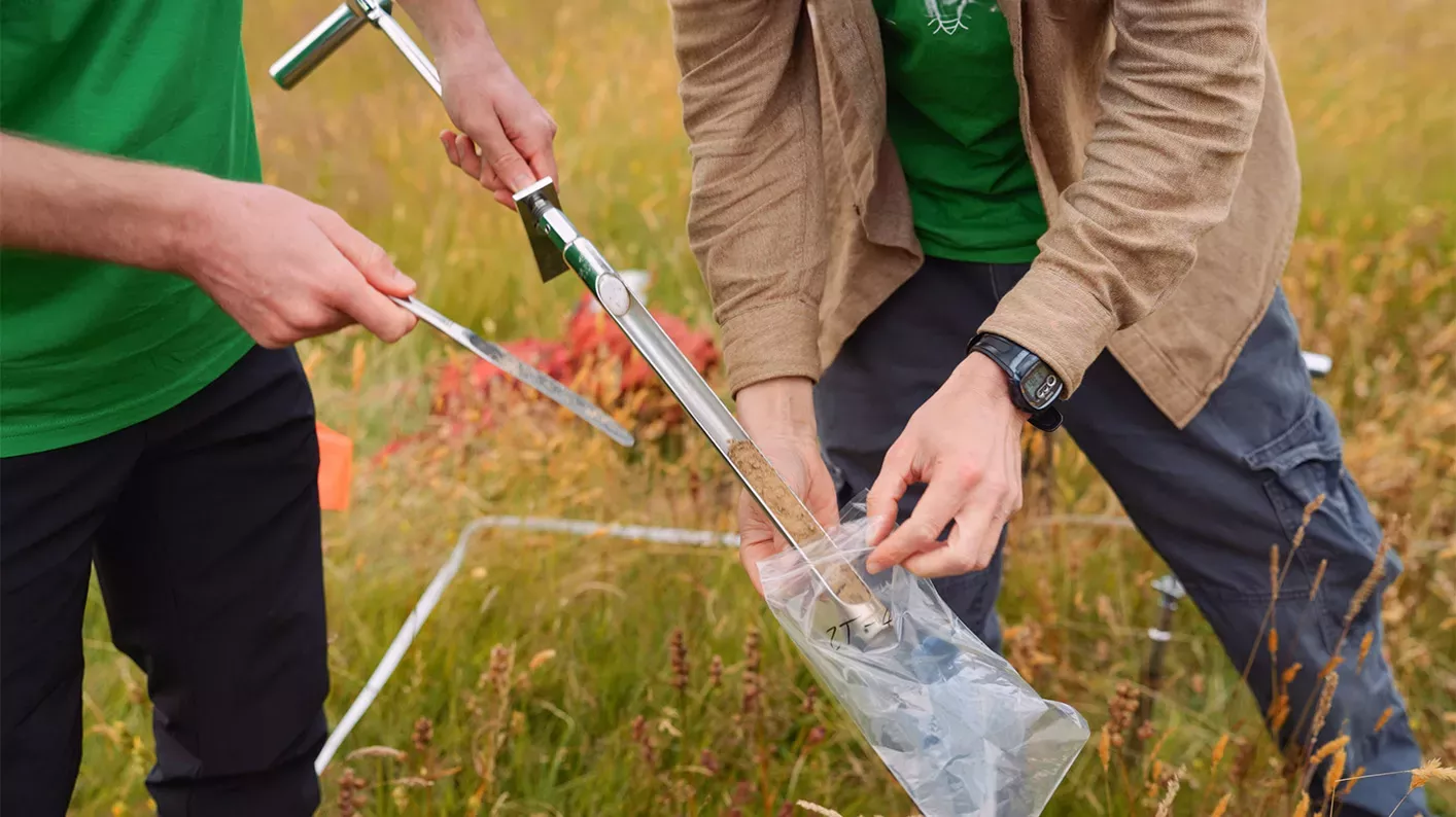 Soil sampling, Visual Air © RBG Kew Two scientists put the soil from a soil corer into a plastic bag.