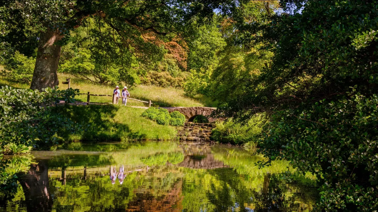 The Black Pond at Wakehurst, Jim Holden © RBG Kew A pair of people look at the Black Pond next to a bridge