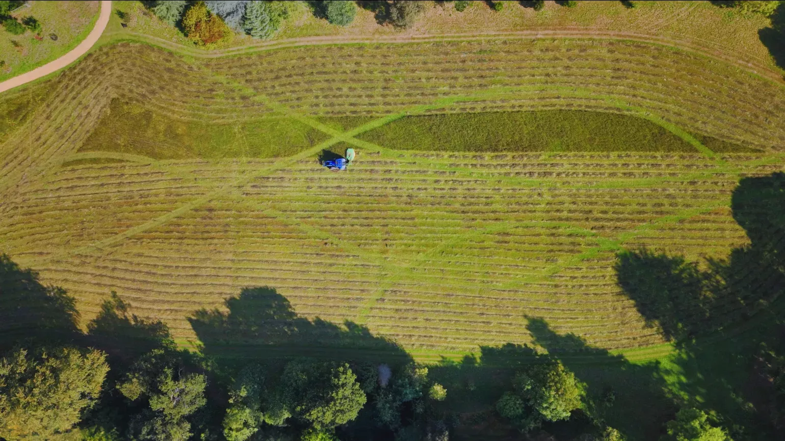 Wakehurst Bloomers Valley Mowing, Visual Air © RGB Kew Aerial shot of mower making curving tracks through grassy meadow