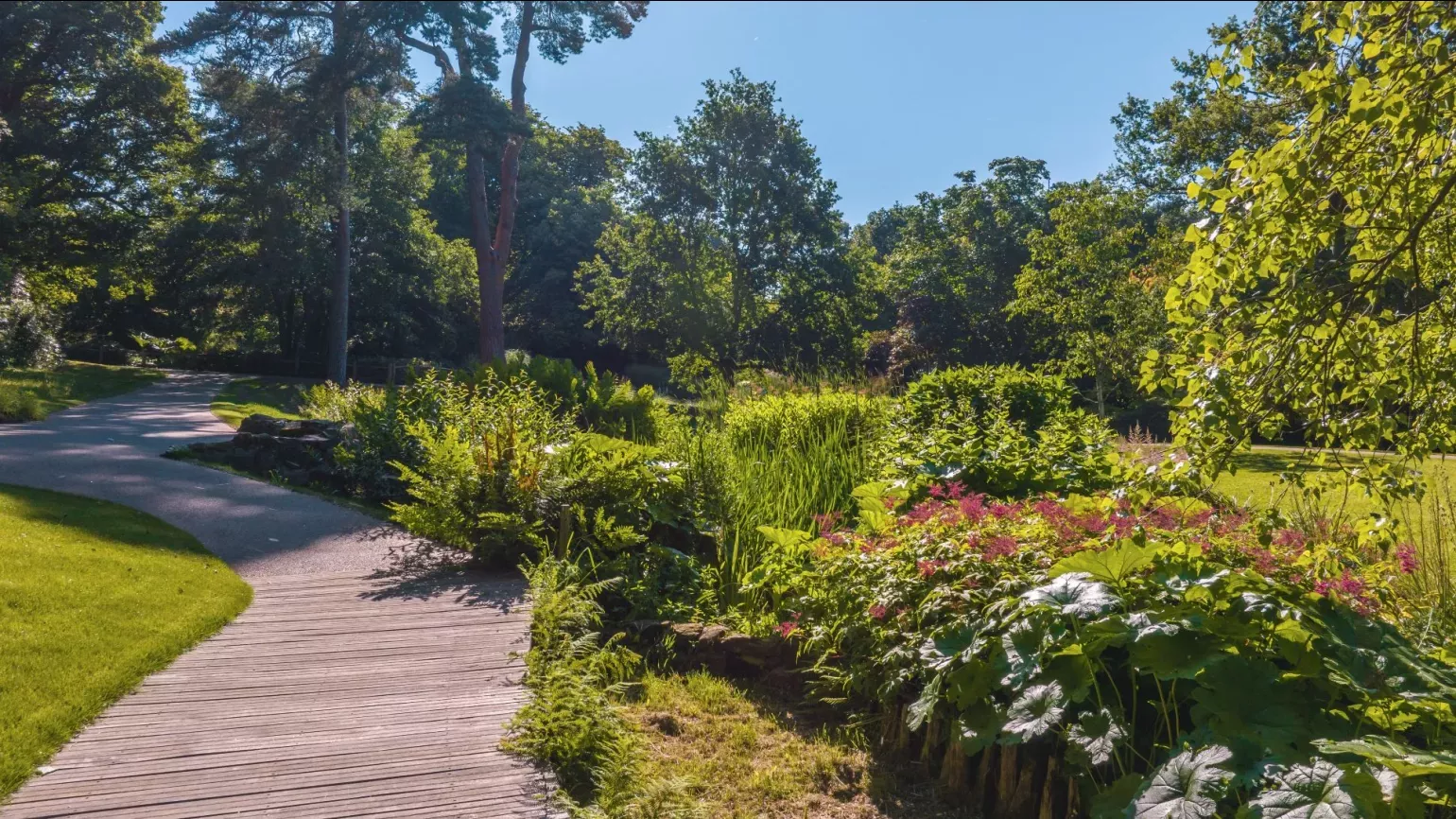 Wakehurst's Bog Garden, Visual Air © RBG Kew A wooden pathway next to a colourful bog garden