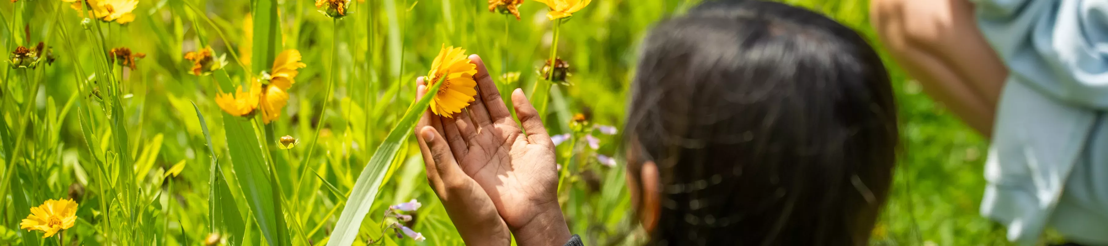 Wakehurst E Learning Day, Visual Air © RGB Kew Young girl holds yellow flower in her hands