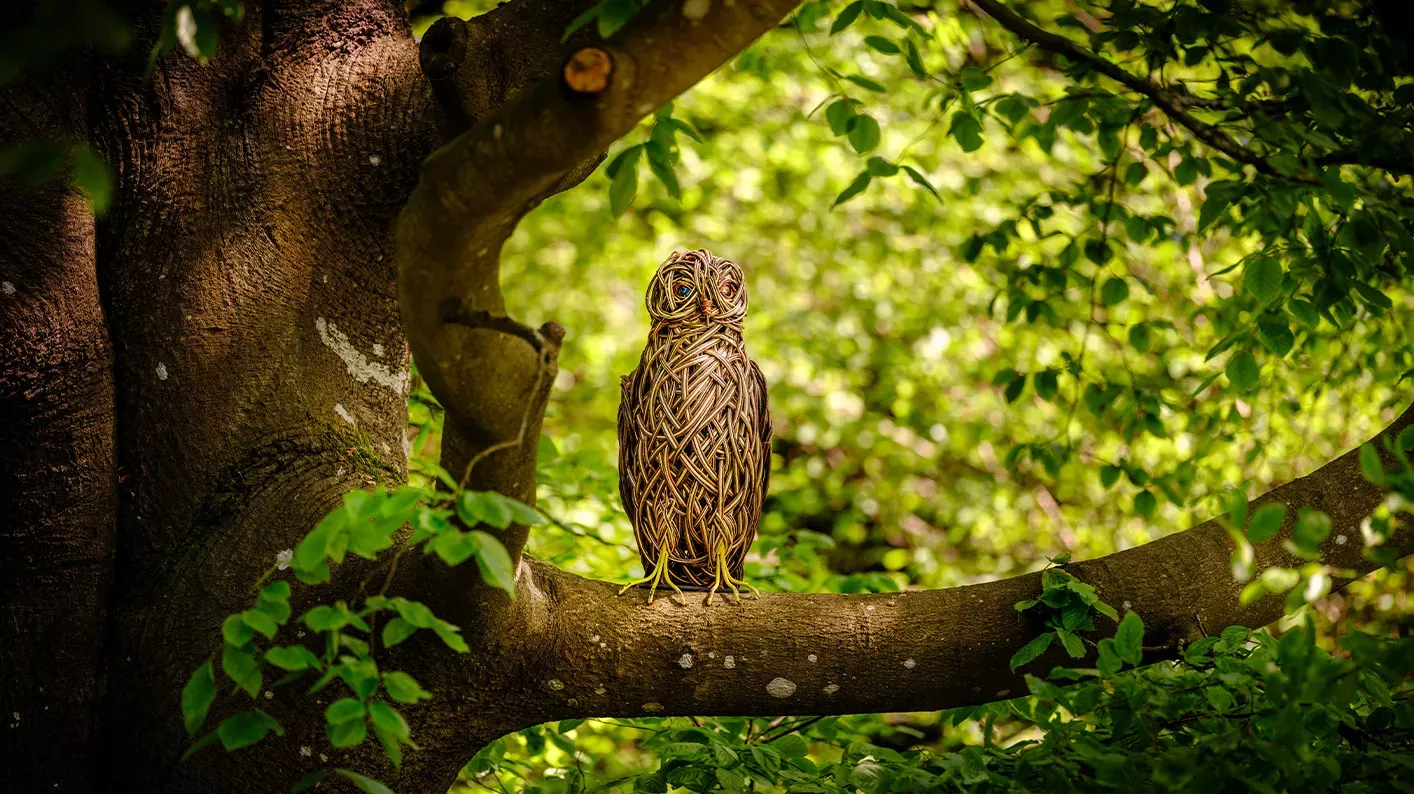 Wild Wood, Jim Holden © RBG Kew A woven owl sculpture in a tree
