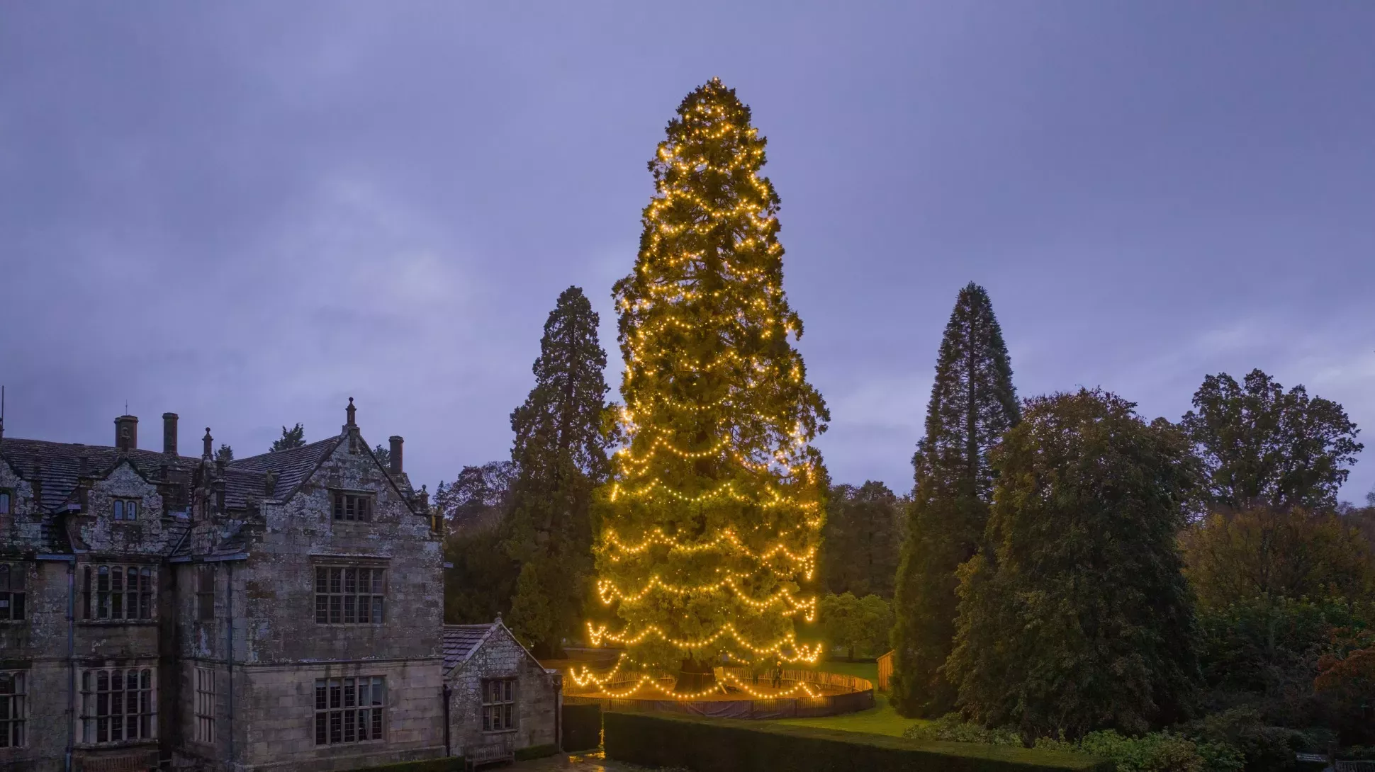 Wakehurst's Christmas tree, Visual Air © RBG Kew A large christmas tree decorated with lights next to a large stately home
