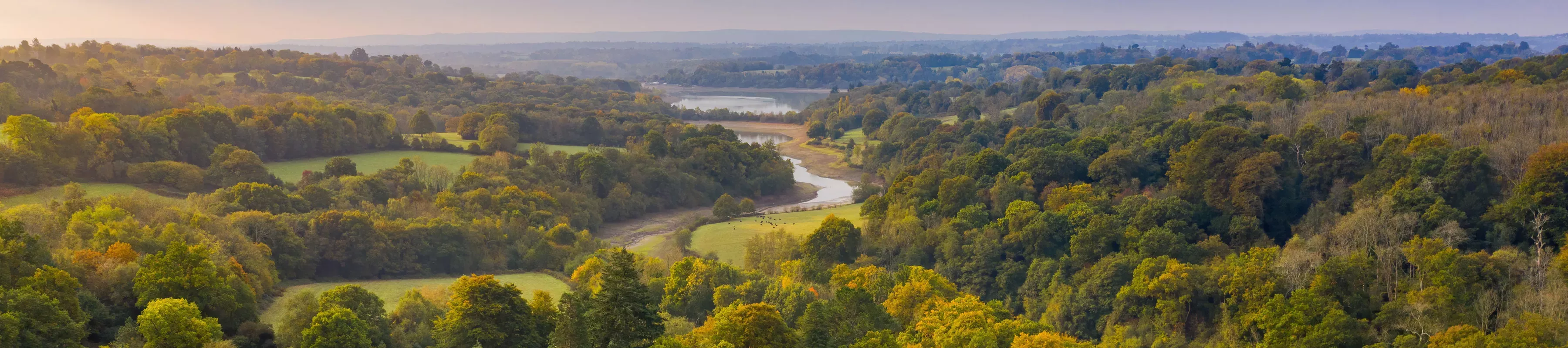 Wakehurst © RBG Kew. Drone shot of Loder valley at Wakehurst. The woodland is green with a river running through. Th sky is slightly grey and moody