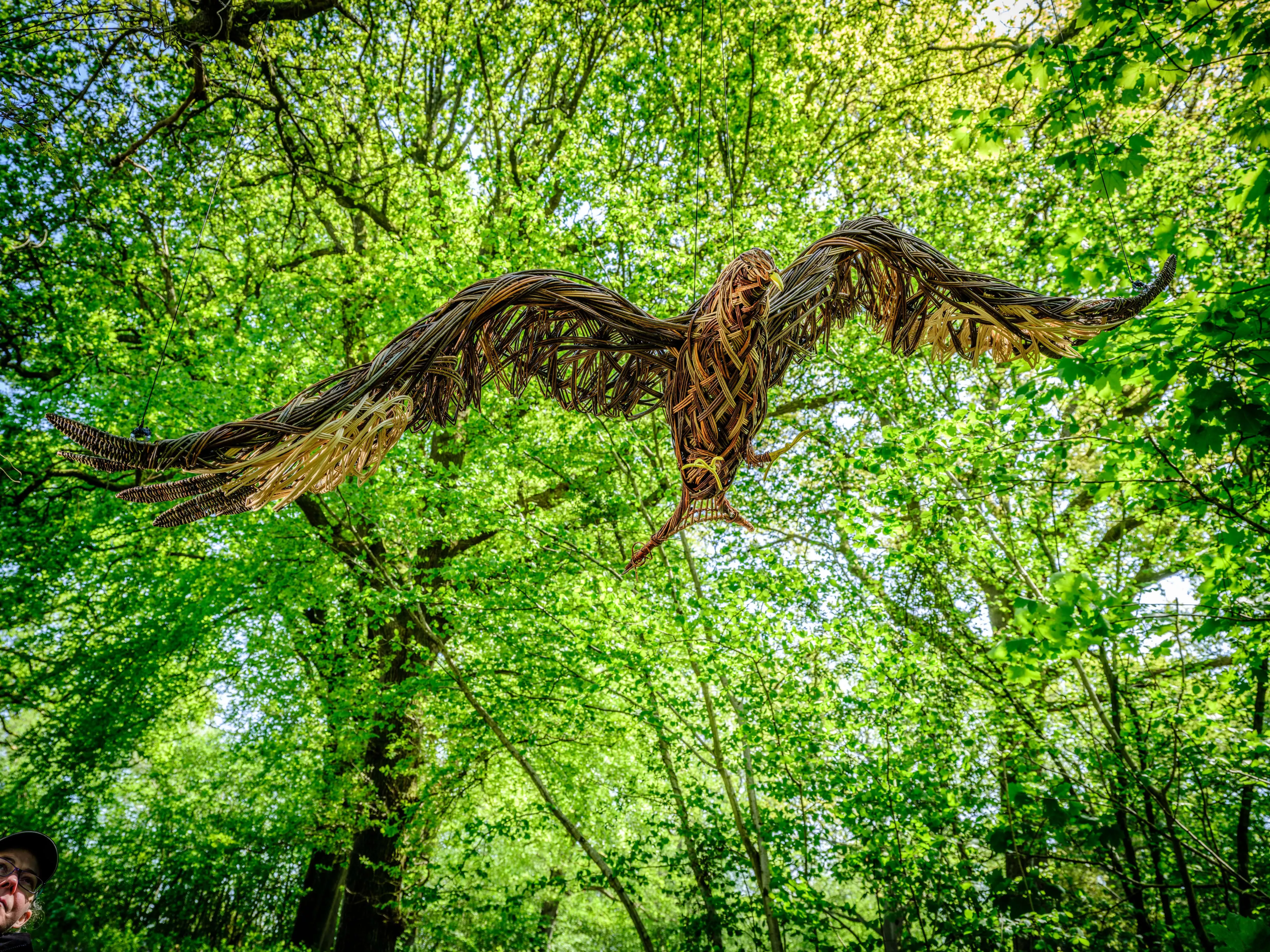 Wakehurst woodland sculpture, Jim Holden © RBG Kew Bird wicker sculpture