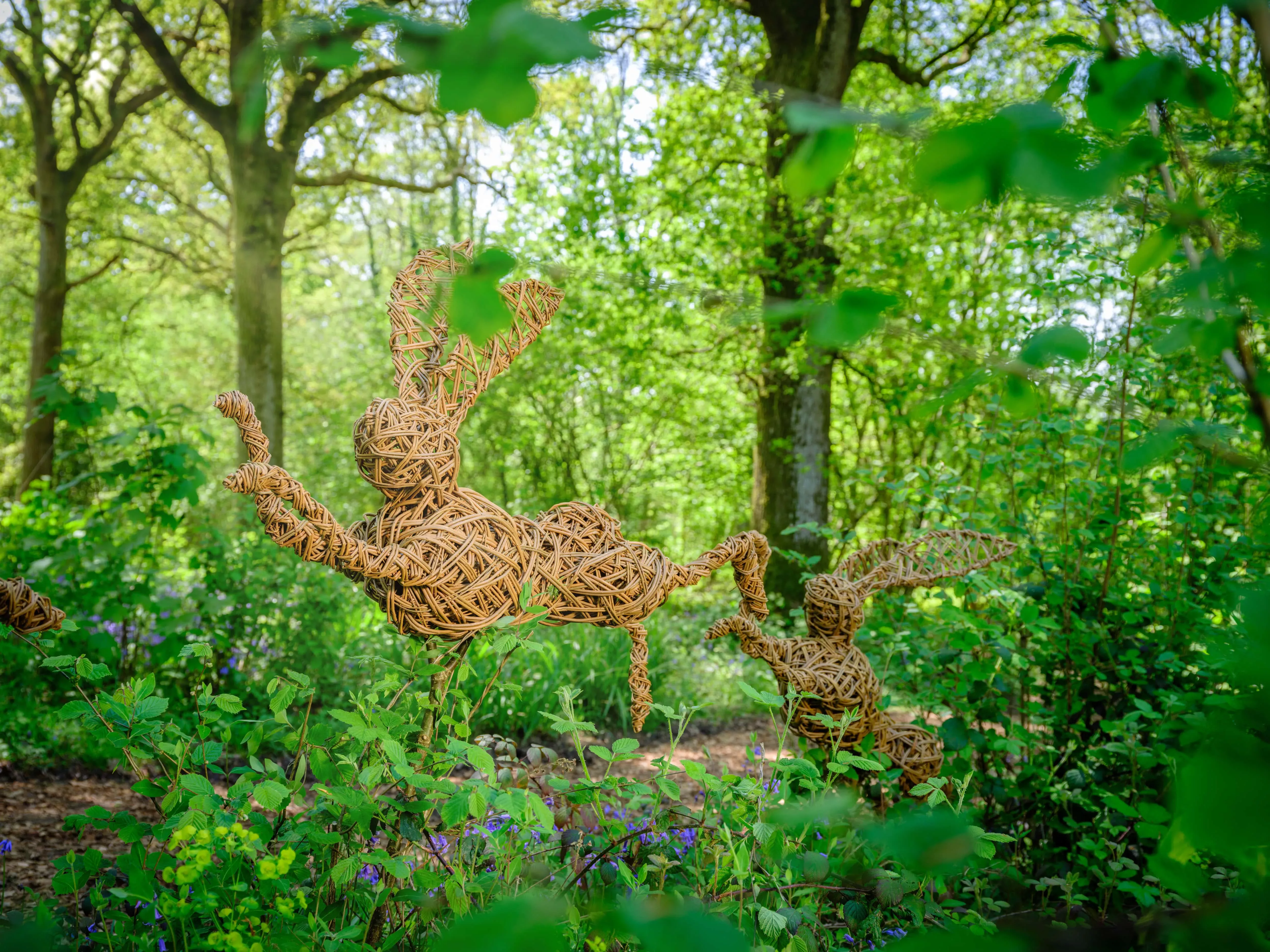 Wakehurst woodland sculpture, Jim Holden © RBG Kew Rabbit wicker sculpture